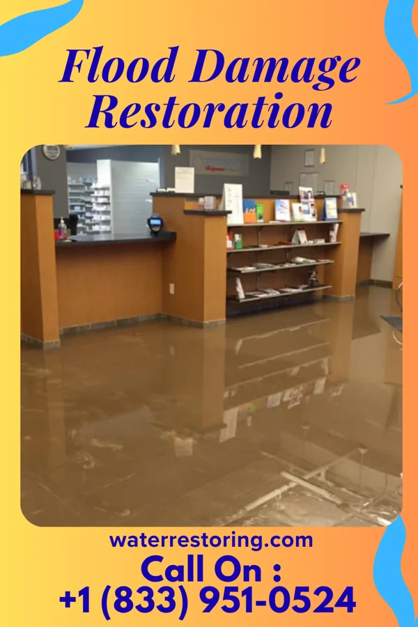 Flood Damage Restoration in Red Bud, IL